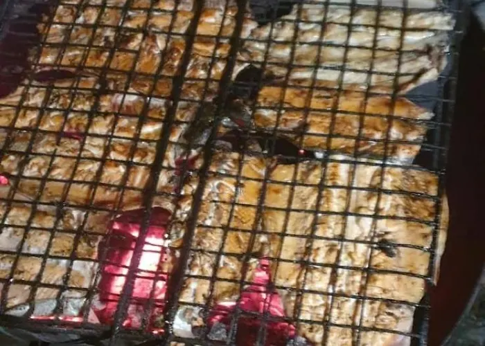 I Koman Kamp alanı Shkodër