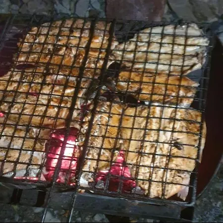 I Koman אתר קמפינג שקודר